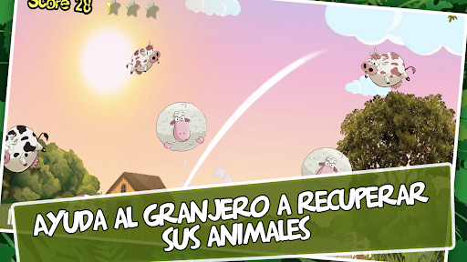 Crazy Granja