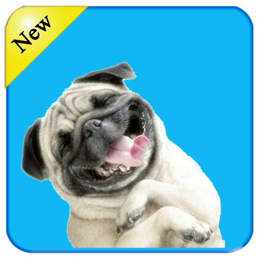 Super Cute Dog HD Wallpapers 1.1 Icon