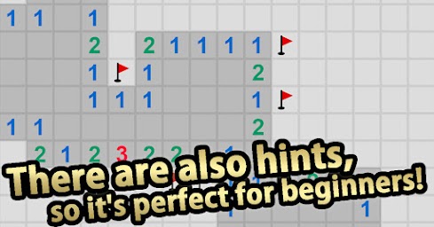 MineSweeper 23