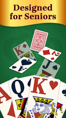 Game screenshot Solitaire for Seniors Game mod apk