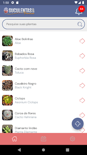 Android application Suculentas screenshort
