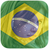 Brazil Flag Profile Picture icon