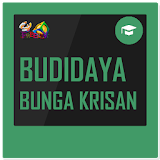 Budidaya Bunga Krisan icon