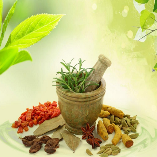 Dadi maa ke Ayurvedic Nuskhe logo