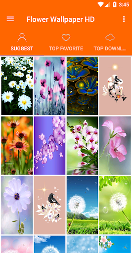 Android application Flowers Wallpaper 4K screenshort