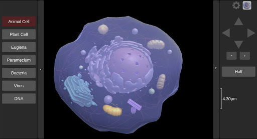 Android application 3D Virtual Cell screenshort
