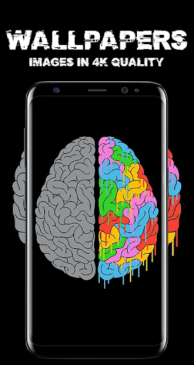 Wall4K-Stock HD Wallpapers