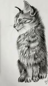 How to draw cats easy