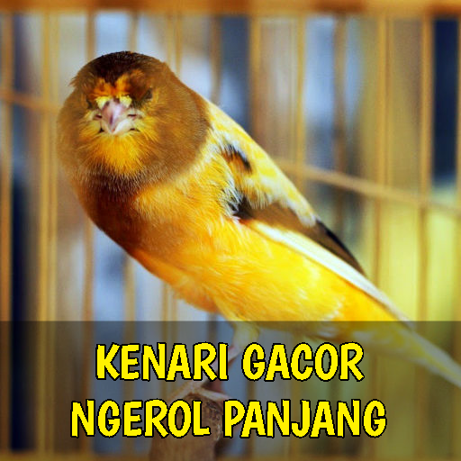Kenari Gacor Ngerol Panjang Download on Windows