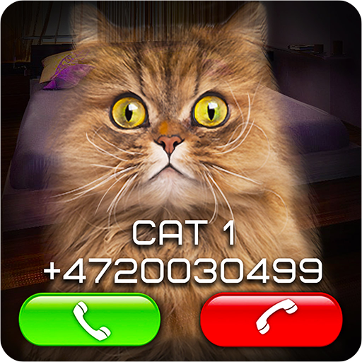 Fake Video Call Cat 1.5 Icon