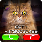 Top 35 Simulation Apps Like Fake Video Call Cat - Best Alternatives