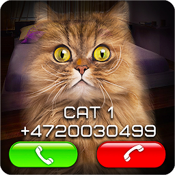 Icon image Fake Video Call Cat