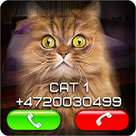 Fake Video Call Cat Apk