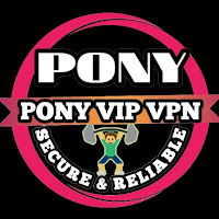 PONY VIP VPN