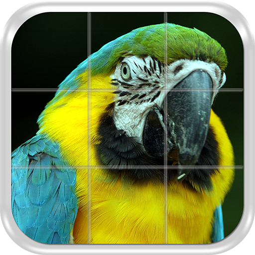 Birds Puzzle Game logo