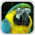 Puzzle: aves e pássaros 1.0.0