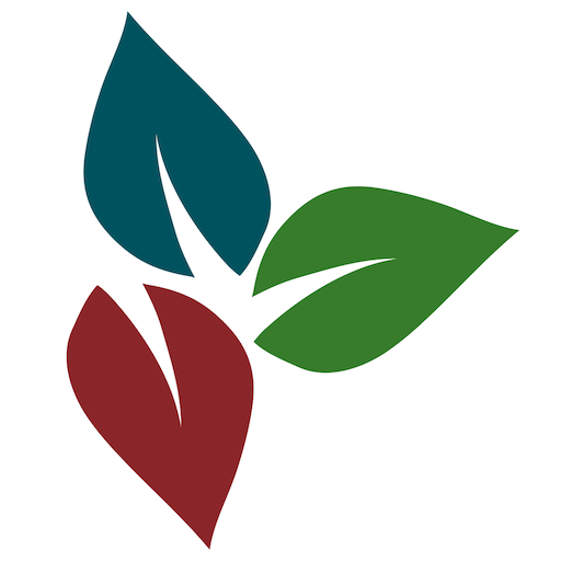 Christ Church Connect logo
