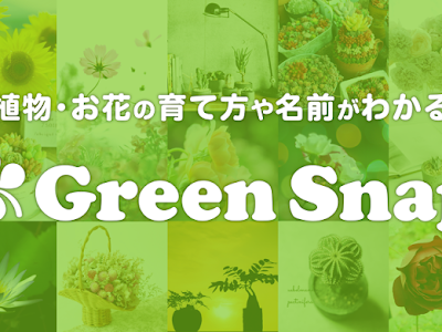 √1000以上 観葉植物図鑑 植物 名前 わからない 110097-観葉植物図鑑 植物 名前 わからない