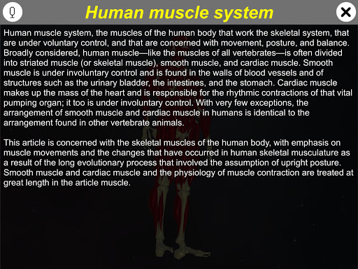 Android application Learn Muscular System screenshort