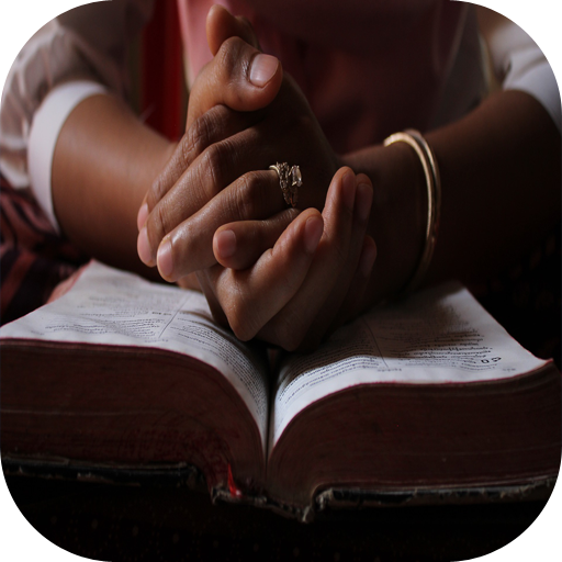 Bible NSO Igbo logo