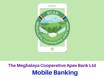 Apex bank of india meaning 120958-Apex bank of india meaning