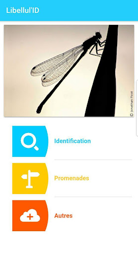Android application Libellul'ID screenshort