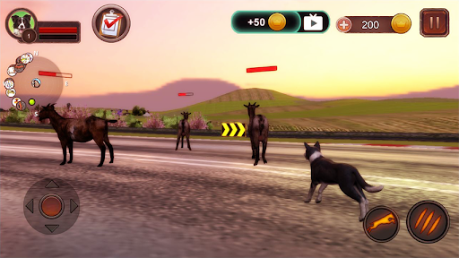 Border Collie Simulator