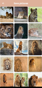 Lions pictures 10 APK + Мод (Unlimited money) за Android