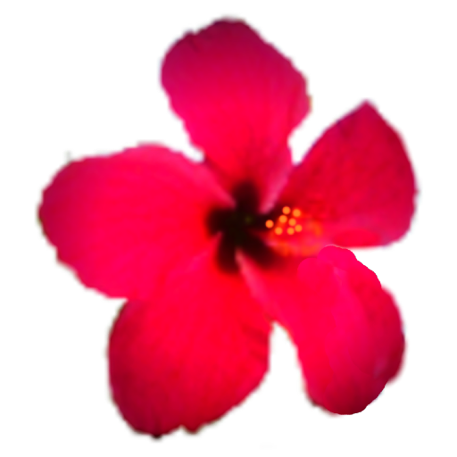 Jericoacoara App logo