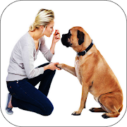 Dog training, obedience: order, paw??