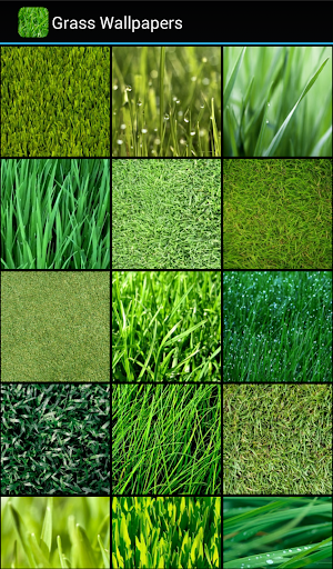 Grass Wallpapers Screen 2