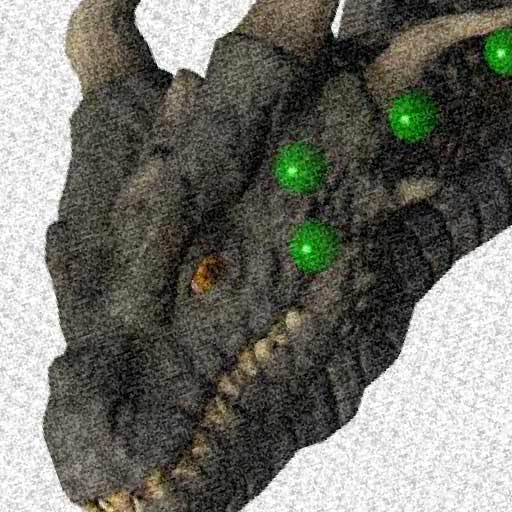Monster Poser Download on Windows