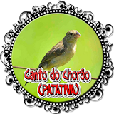 O canto melancólico da Patativa-chorona icon