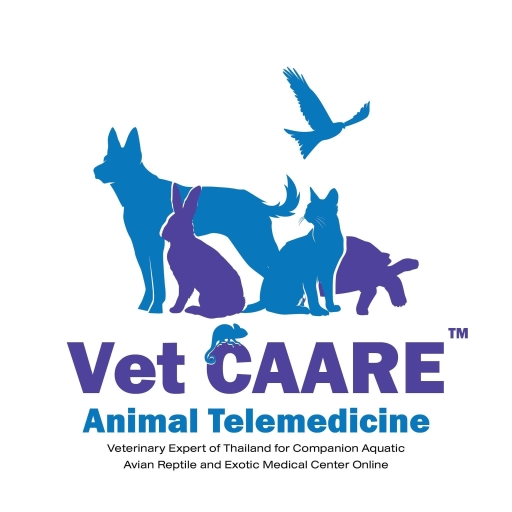 VetCAARE logo