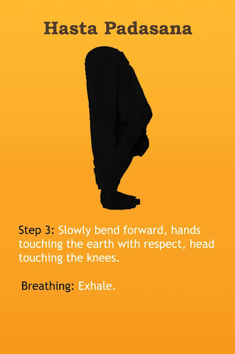 Surya Namaskar Yoga Poses Screen 3