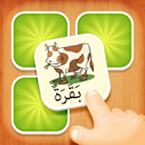 Learn Arabic Memory Game icon
