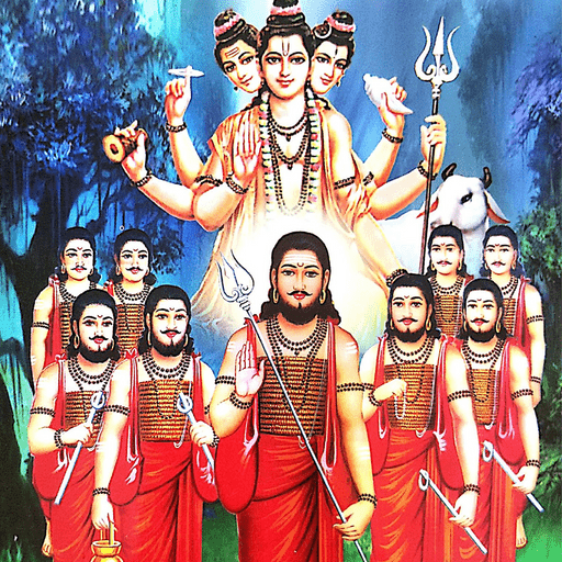 Navnath Pothi | नवनाथ भक्तिसार 1.8 Icon