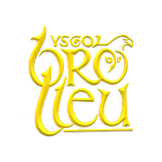 Ysgol Bro Lleu