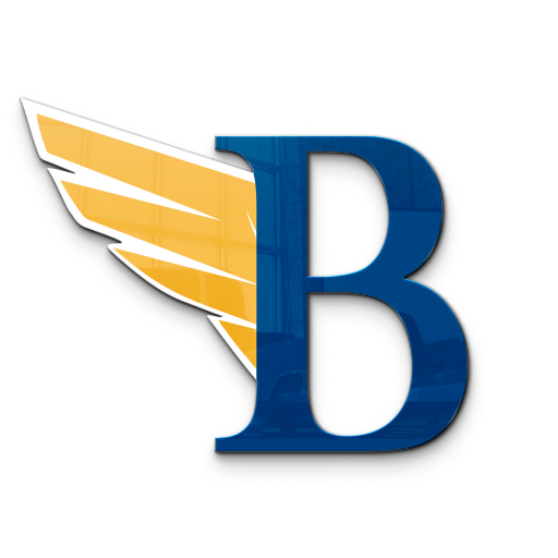Berdan Gestão logo