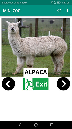 Mini Zoo - Lets learn about animal
