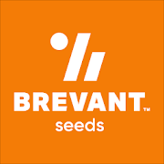 Brevant™ seeds