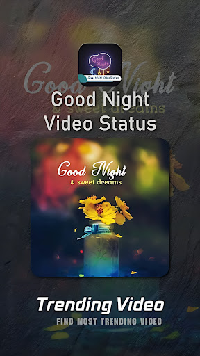 Good Night Video Status Screen 3