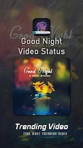 Good Night Video Status