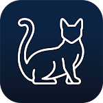 Cover Image of 下载 Cats Wallpapers & Backgrounds  APK