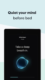 Balance: Meditation & Sleep MOD APK (Subscribed) 14