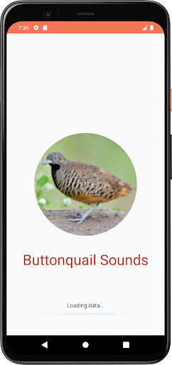 Android application Buttonquail Sounds screenshort