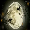 Dark Wars icon