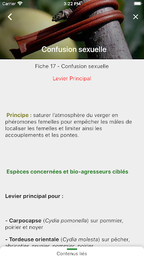Eco-Fruits Screen 3