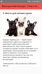 Французский бульдог. Уход и содержание poster 6