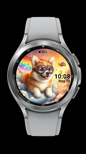 corgi dog_003 screenshot 5